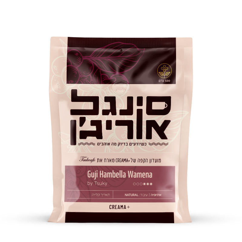  500 גר׳