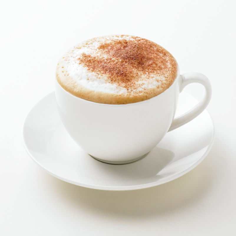 מקציף חלב ברוויל נירוסטה the Milk Cafe™ - Breville Milk Frother BMF600BSS